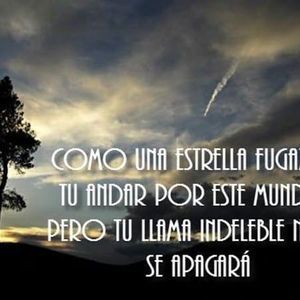 Meet your Posher, Nora